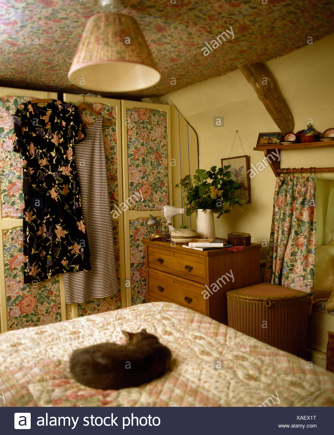 Cat Lying On Bed In Economy Style Bedroom With Wallpaper Panels On