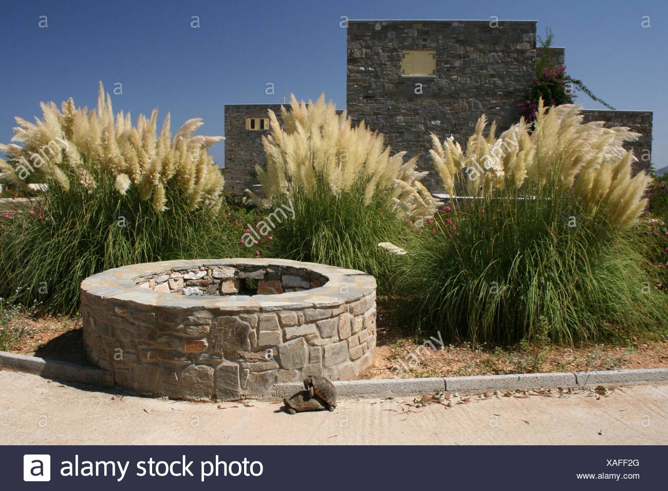 Garden Greece Gardens Summer Heat Isle Island Randsteine