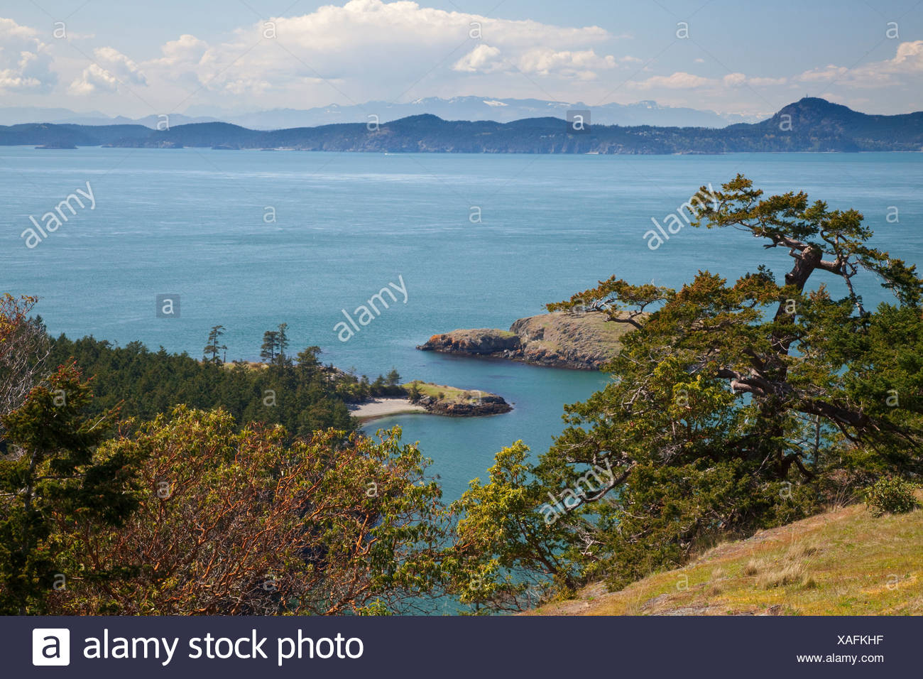 Juan Lopez High Resolution Stock Photography and Images - Alamy