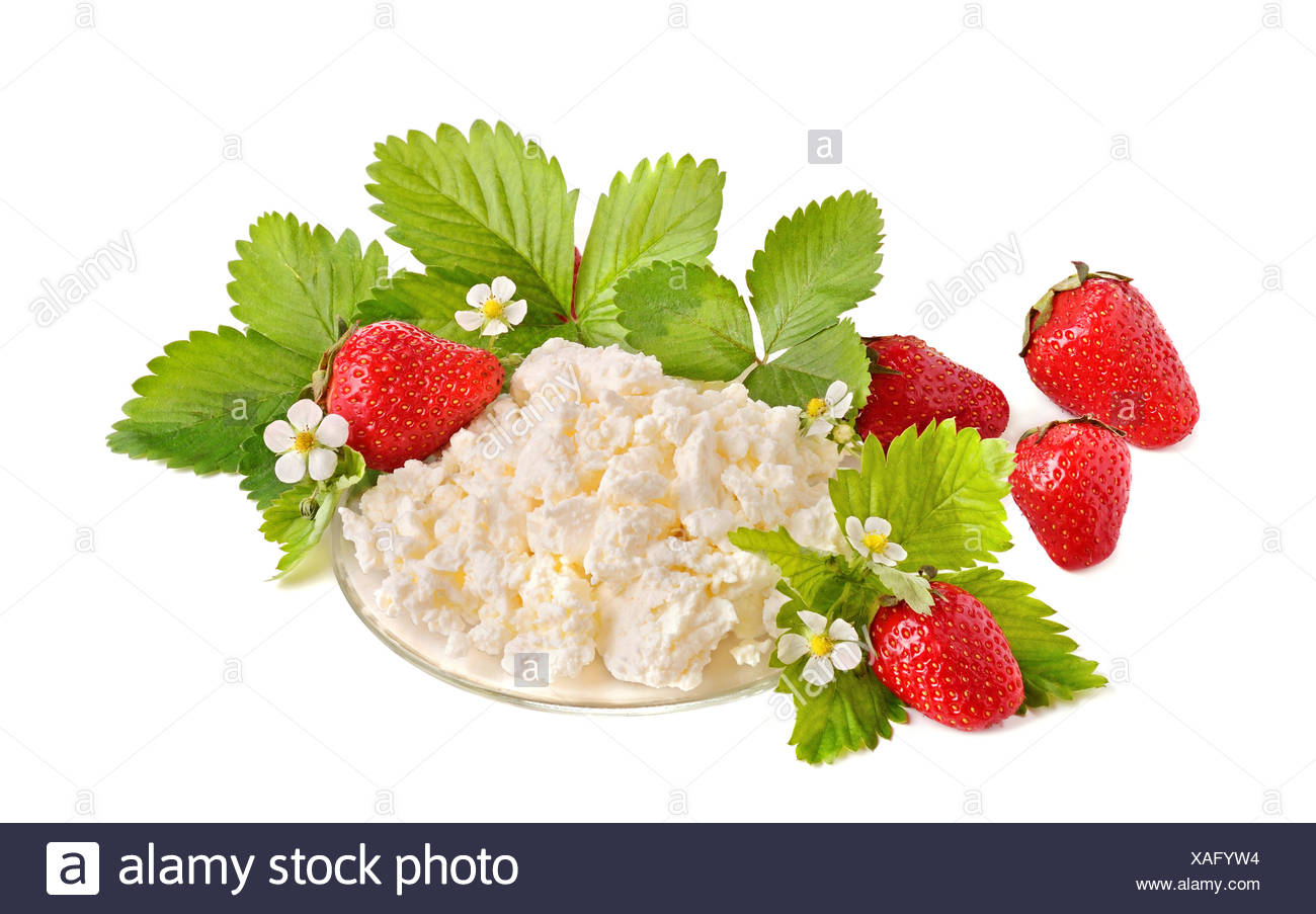 Strawberries And Cottage Cheese Stock Photo 281863600 Alamy