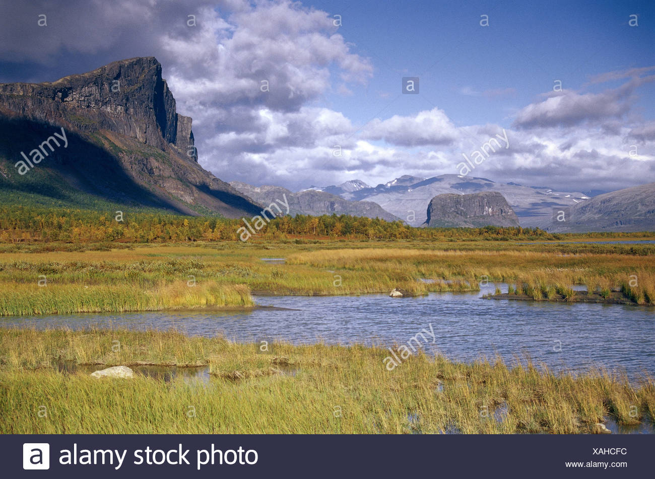 Stock Photo