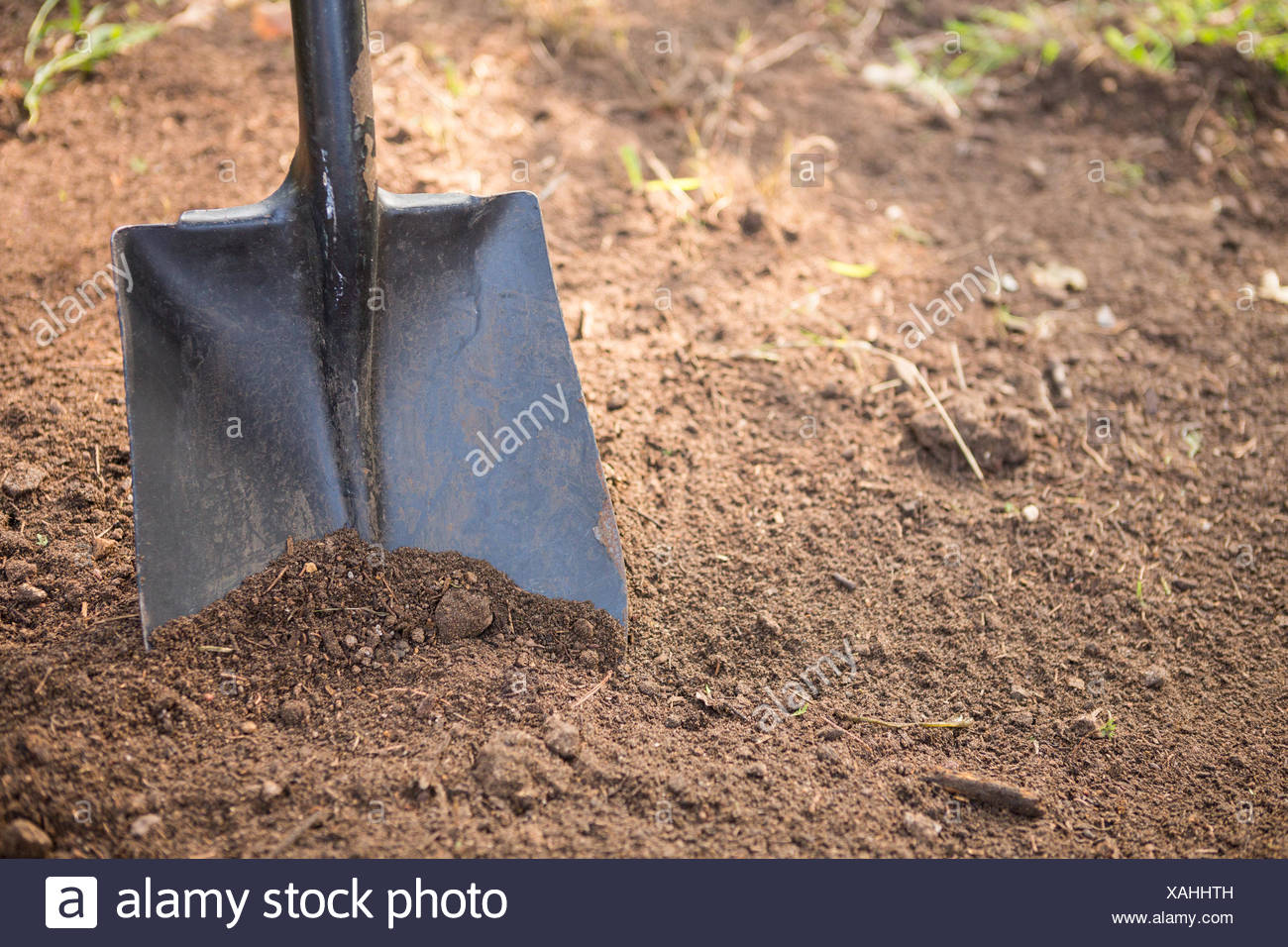 dirt shovel