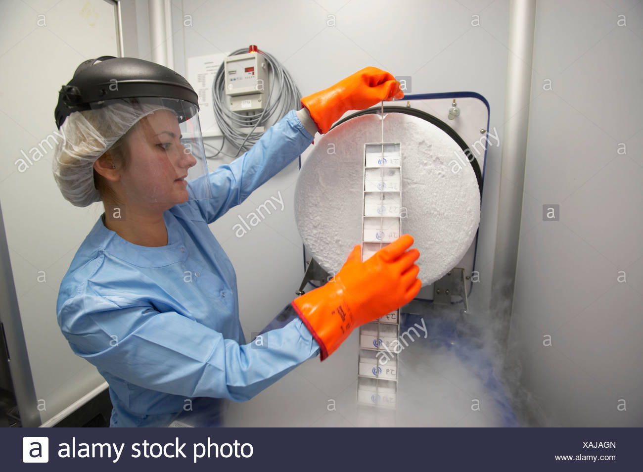 Cryogenic Stock Photos & Cryogenic Stock Images - Alamy