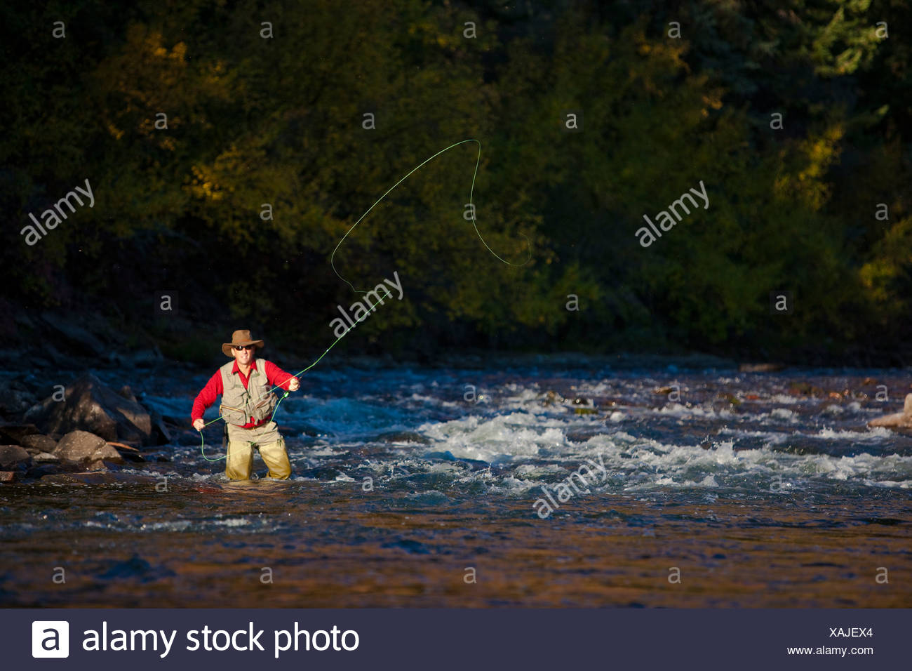 Eagle Fishing High Resolution Stock Photography and Images Alamy