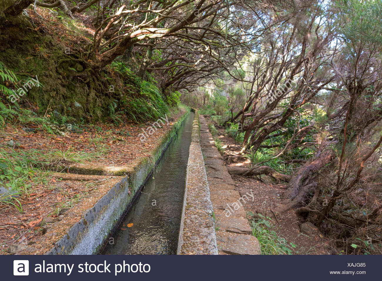 Levada Wandern Auf Madeira Portugal High Resolution Stock Photography And Images Alamy