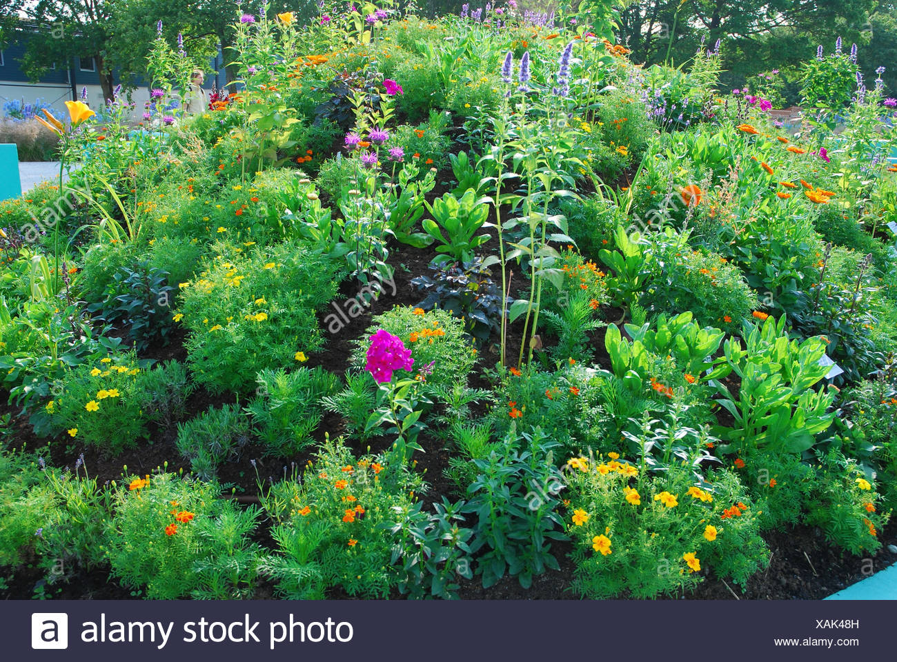 Herb Garden Cottage Gardens Stock Photo 281932913 Alamy