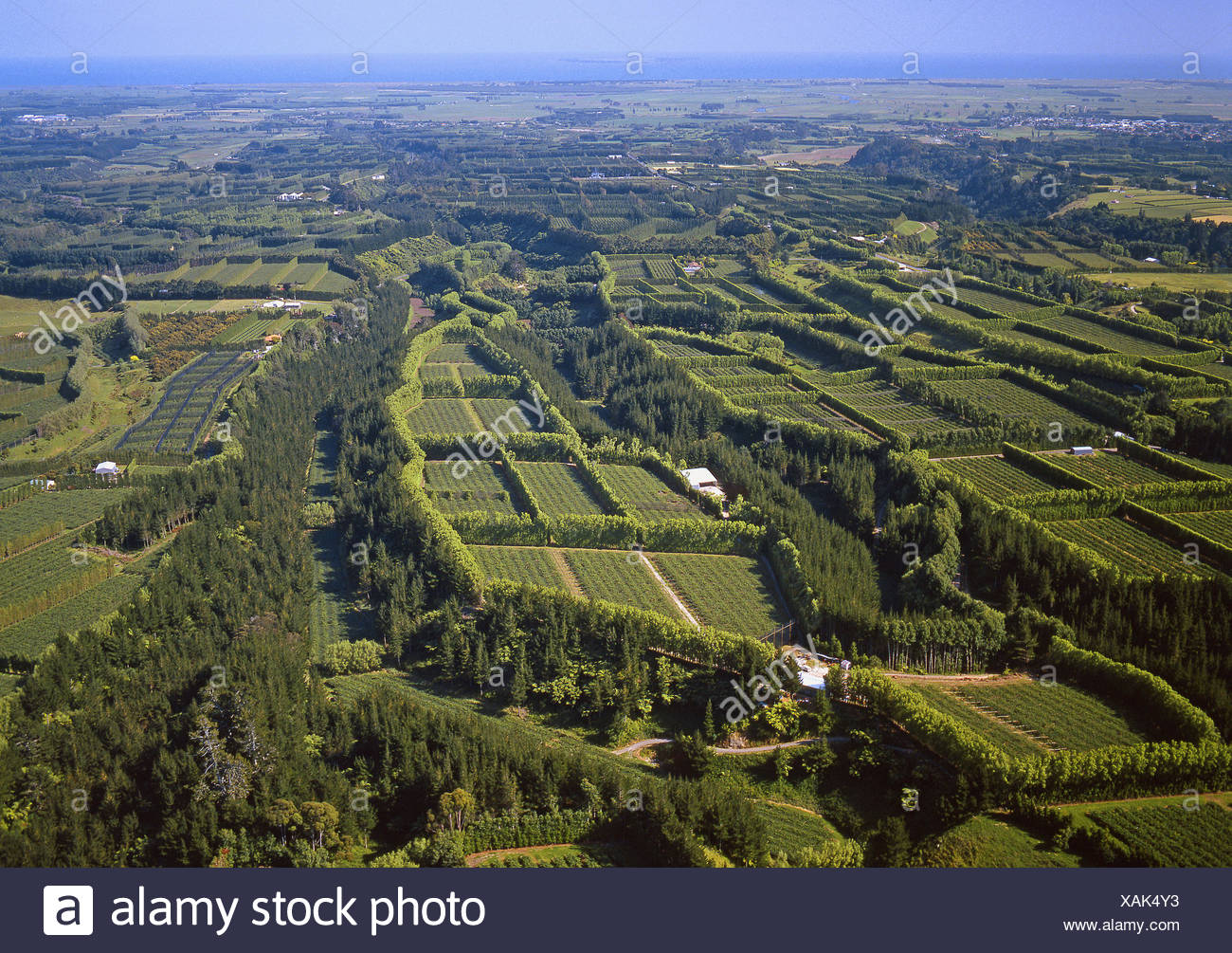 New Zealand Farmland Aerial High Resolution Stock Photography and ...