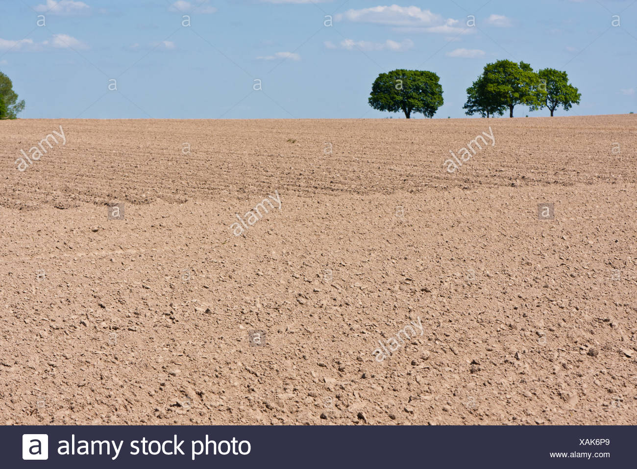 Ackerboden Stock Photos & Ackerboden Stock Images - Alamy