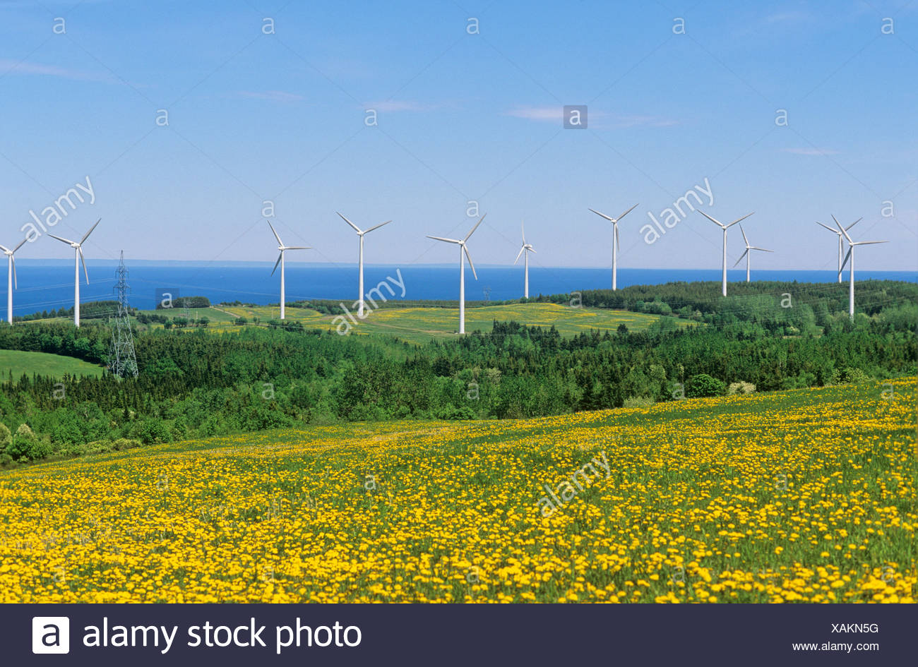 Cartier Wind Energy High Resolution 