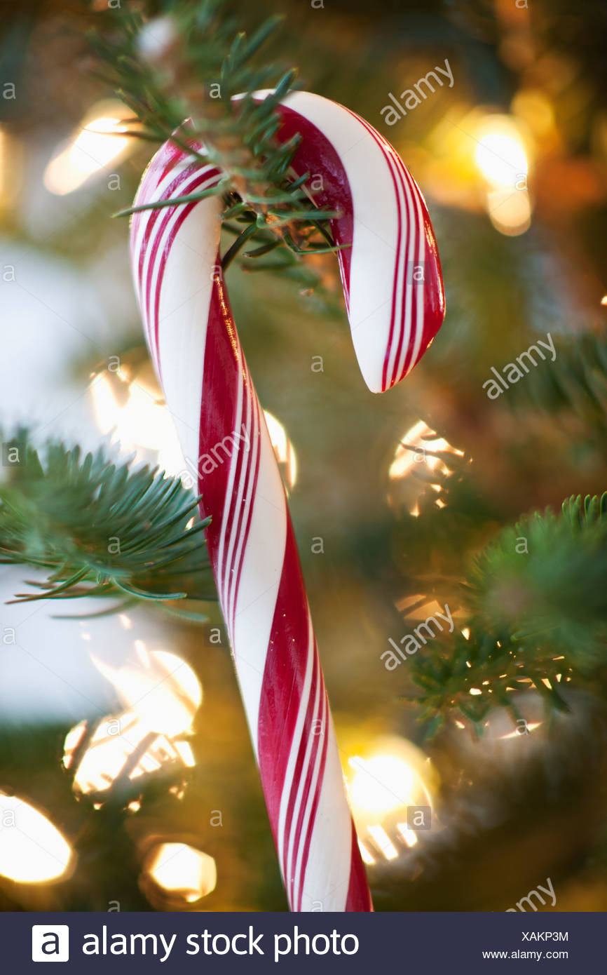 History Of Candy Canes On Christmas Trees
