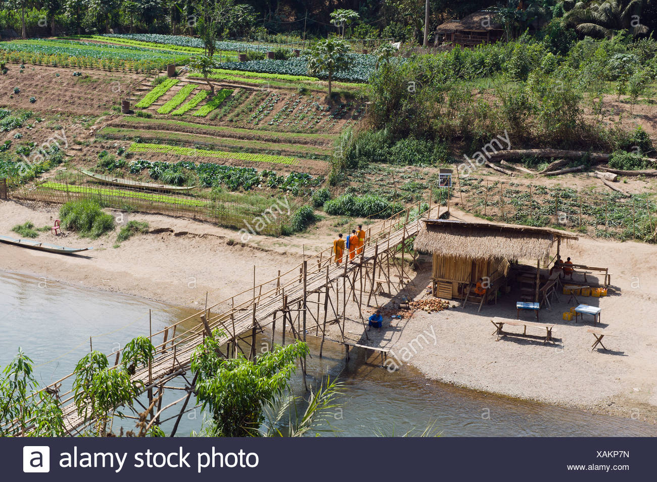 Vegetable Gardens On The Nam Khan River Luang Prabang Laos