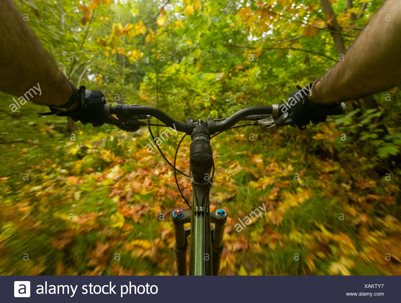 green valley bike park