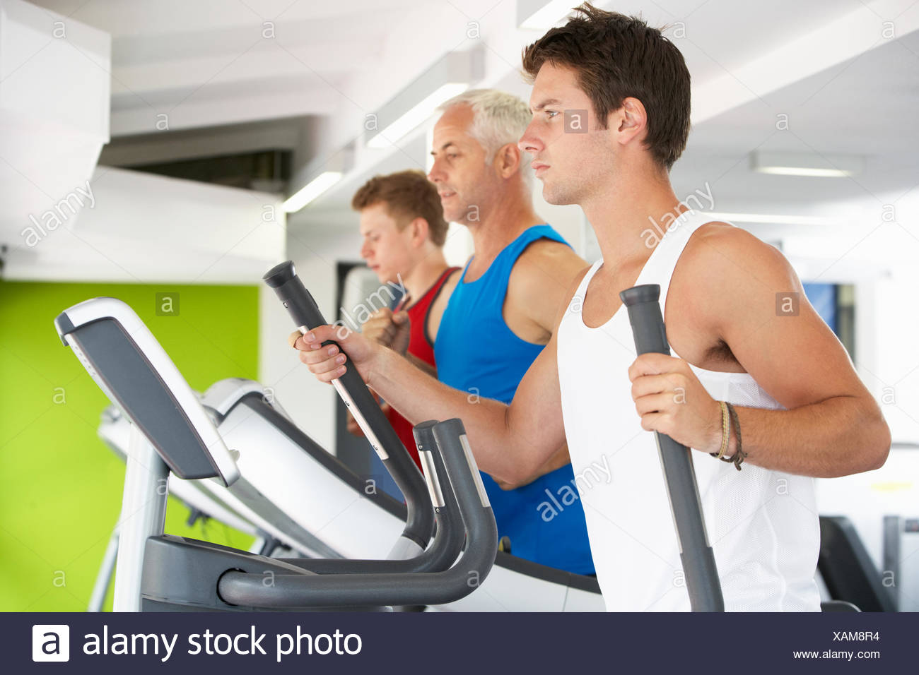 different exercise equipment