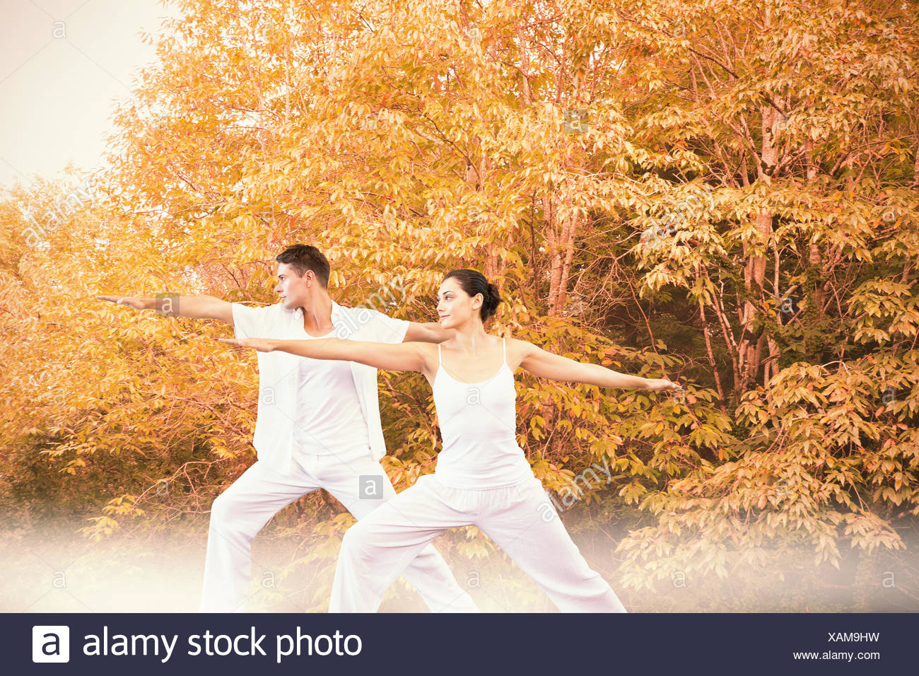 Composite Image Of Peaceful Couple In White Doing Yoga Together In Warrior Position Stock Photo Alamy Composite Image Of Peaceful Couple In White Doing Yoga Together In Warrior Position Stock Photo Alamy