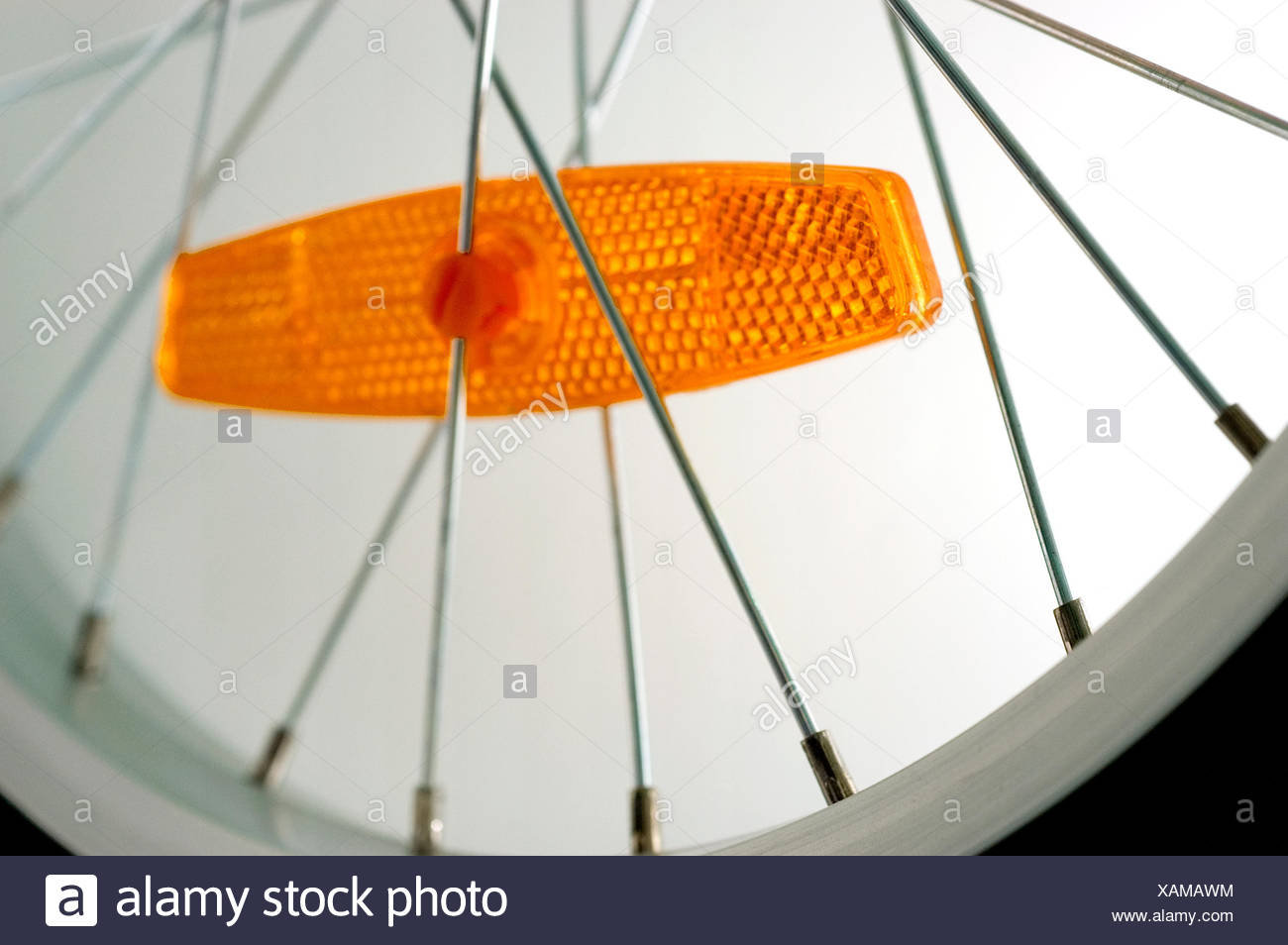 cycle spokes