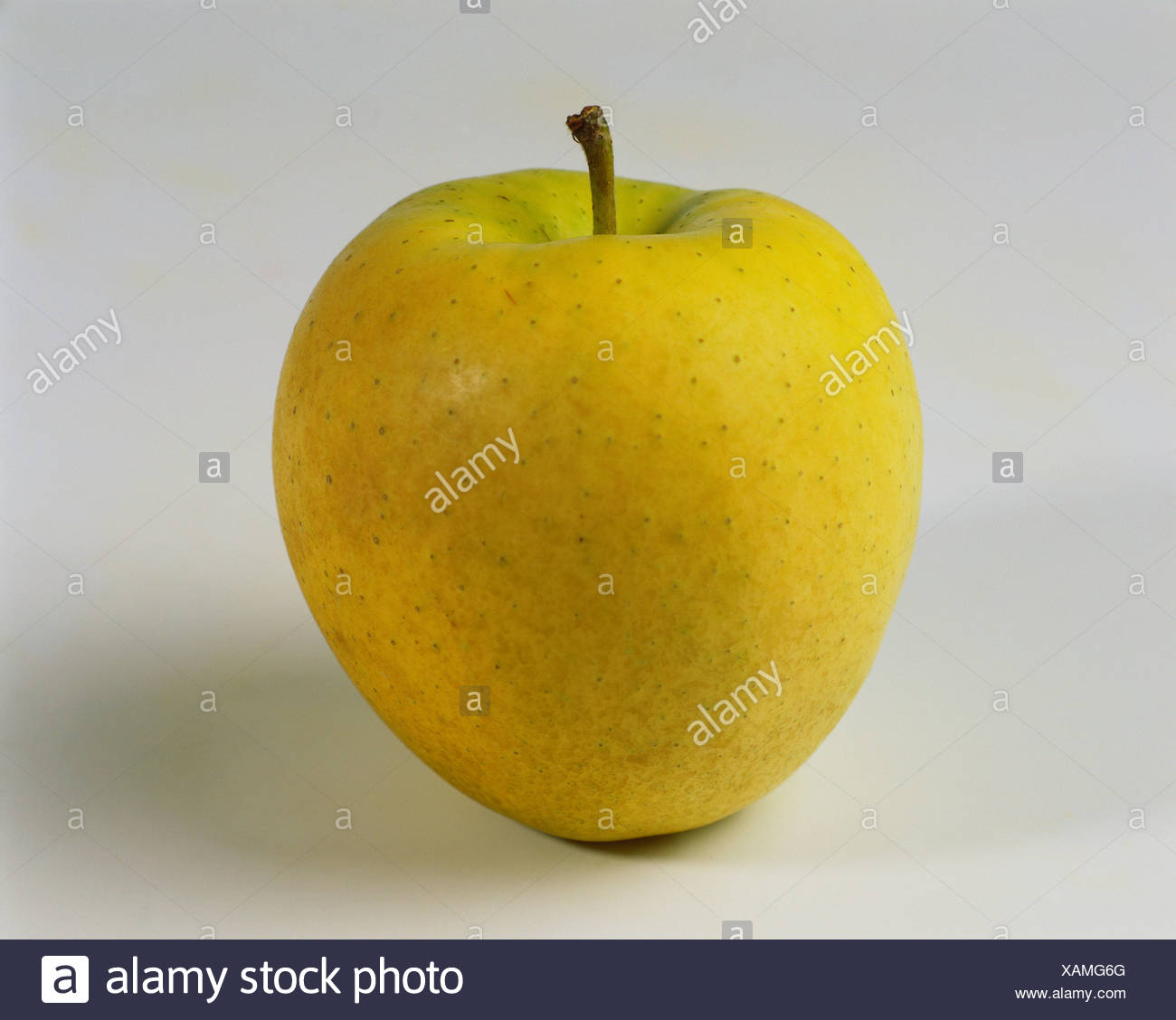Apples Apple To Singles Golden Delicious Apple Kind Fruit Inside Fruits Fruit Healthy Food Groceries Food Stock Photo Alamy Apples Apple To Singles Golden Delicious Apple Kind Fruit Inside Fruits Fruit Healthy Food Groceries Food Stock Photo Alamy