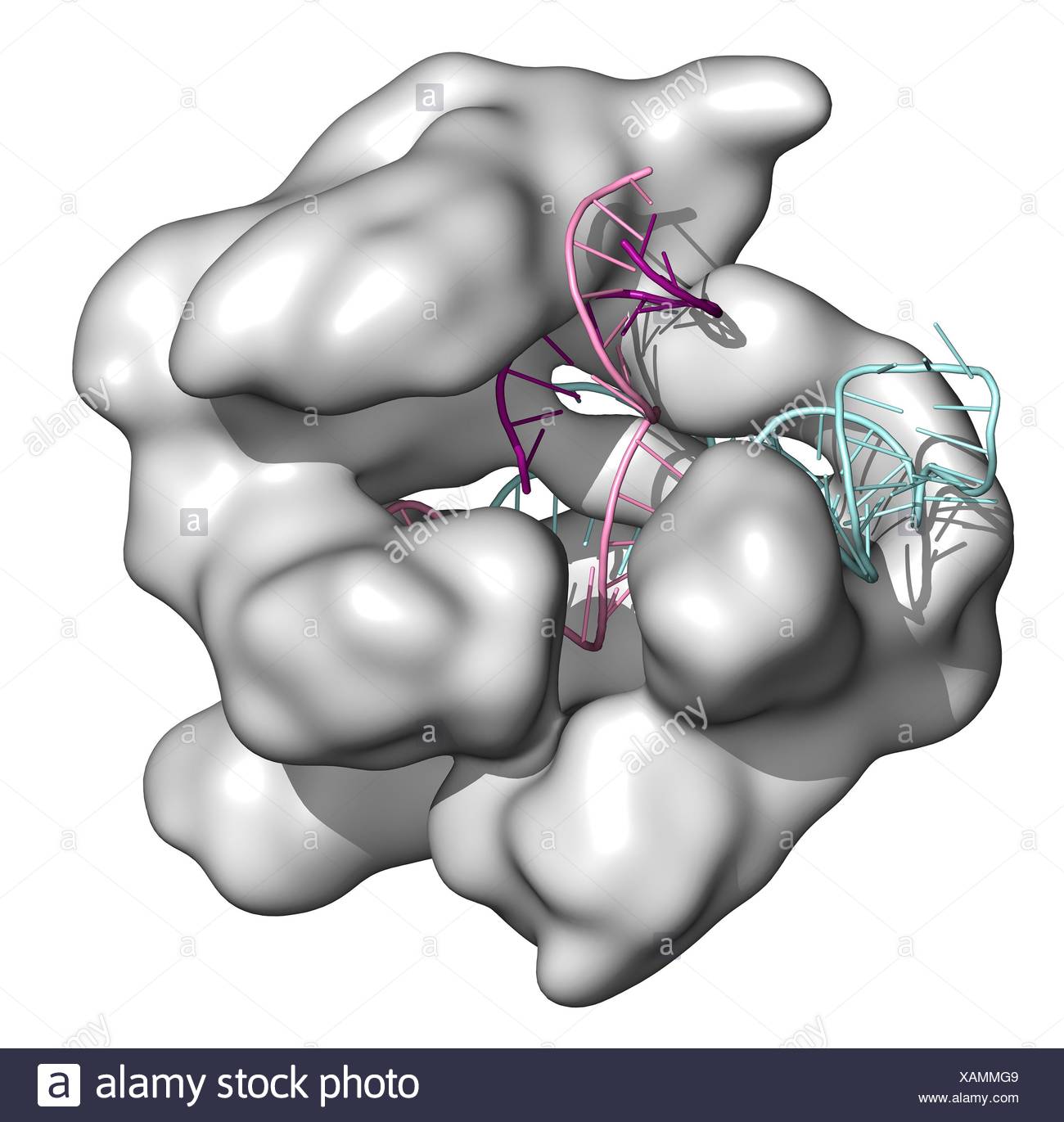 Crispr Cas9 Gene High Resolution Stock Photography and Images - Alamy