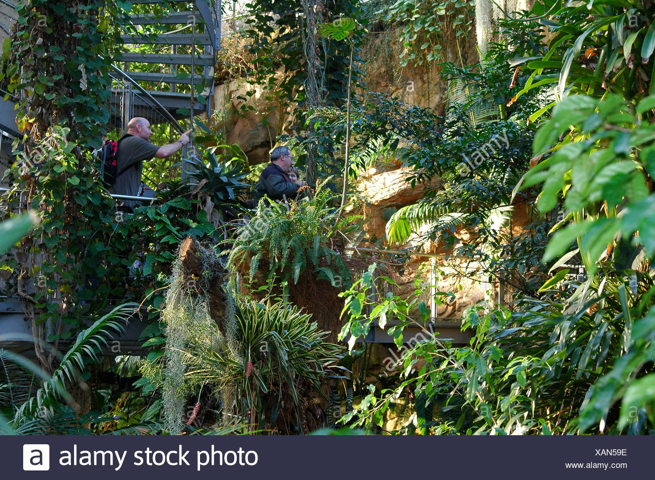 Germany Hannover Interior Greenhouse Stock Photos Germany