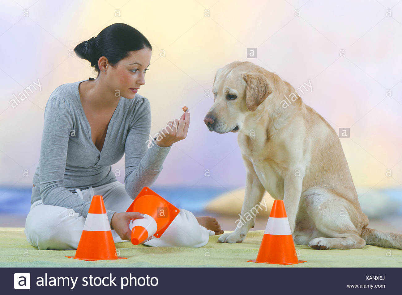 Labrador Intelligence 2025