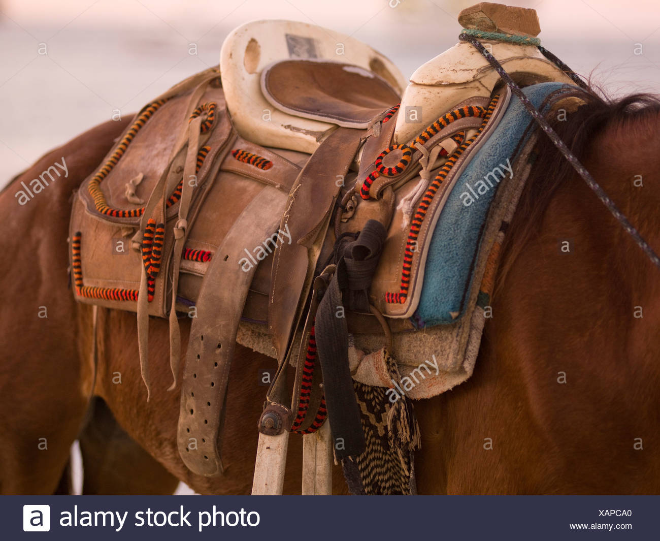 Mexican Saddles High Resolution Stock Photography and Images - Alamy