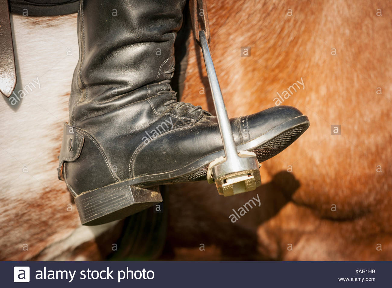 Stirrups Boot High Resolution Stock Photography and Images Alamy