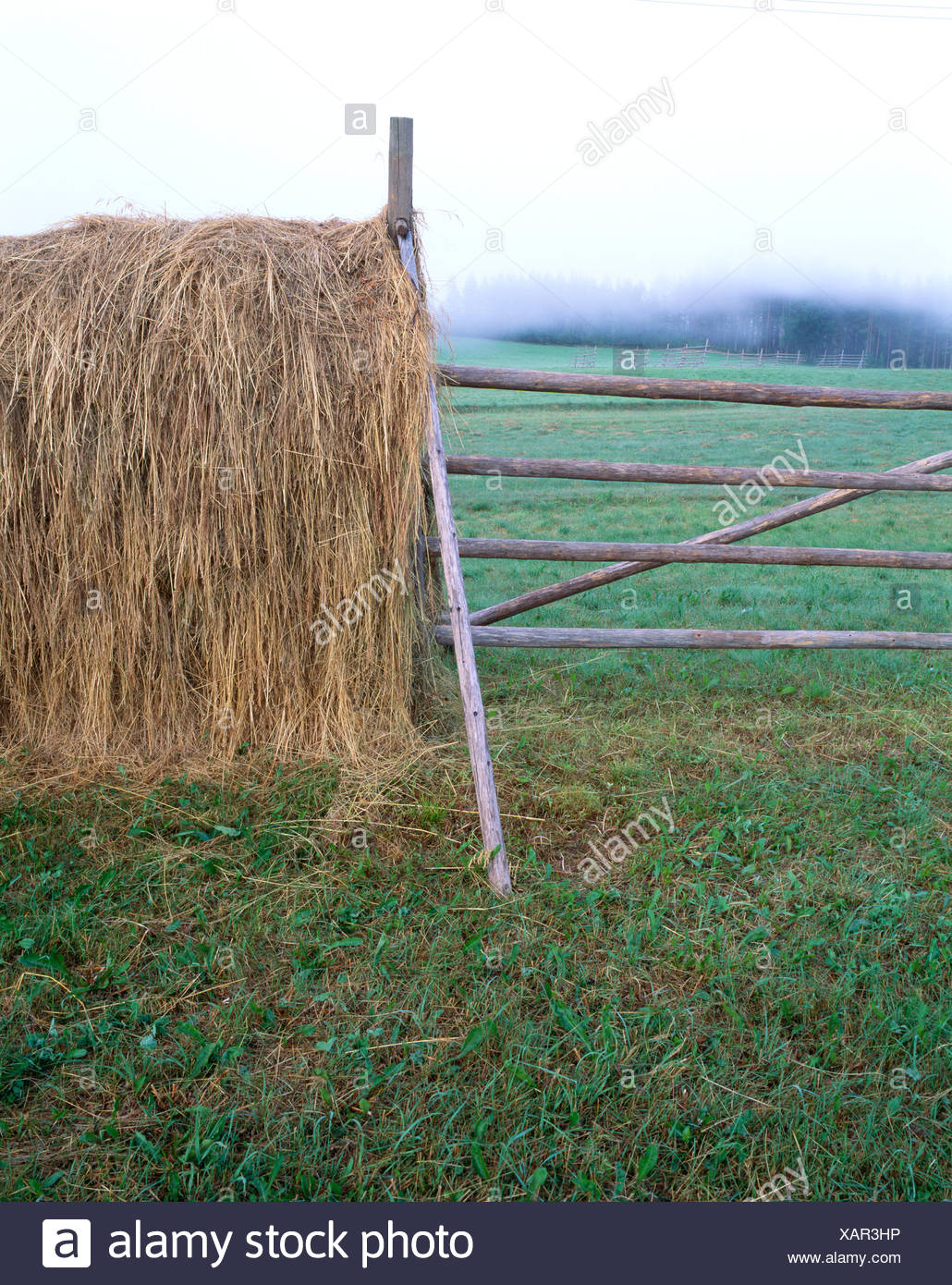 Hay Racks High Resolution Stock Photography and Images - Alamy