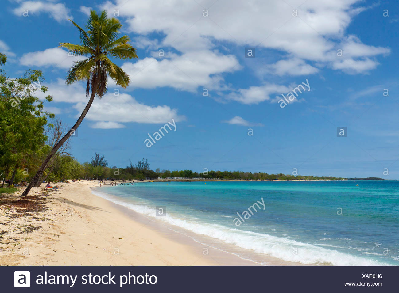 Guadeloupe Stock Photos Guadeloupe Stock Images Alamy