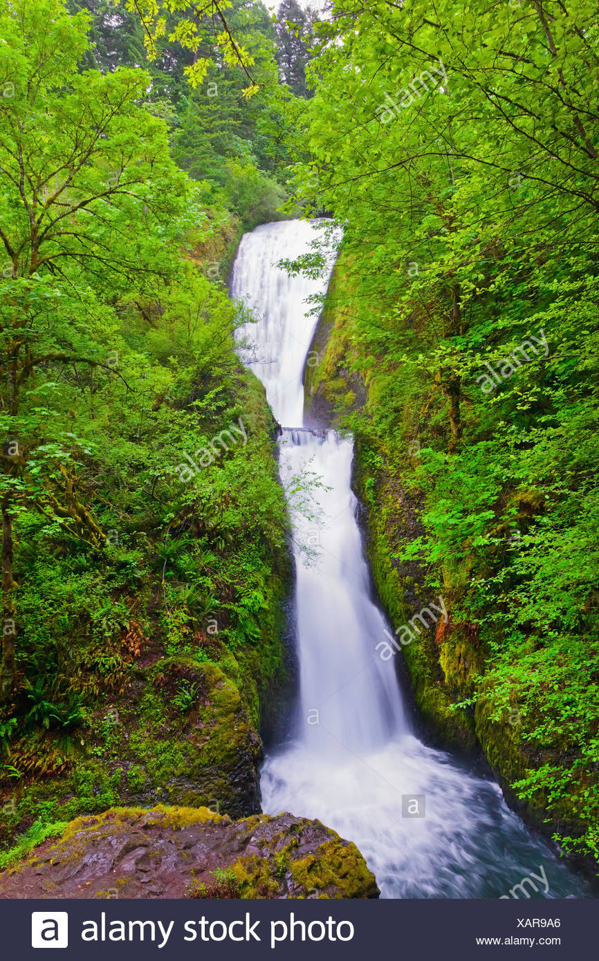 Bridal Veil Falls In Columbia River Gorge National Scenic Area In The Pacific Northwest Oregon United States Of America Stock Photo Alamy