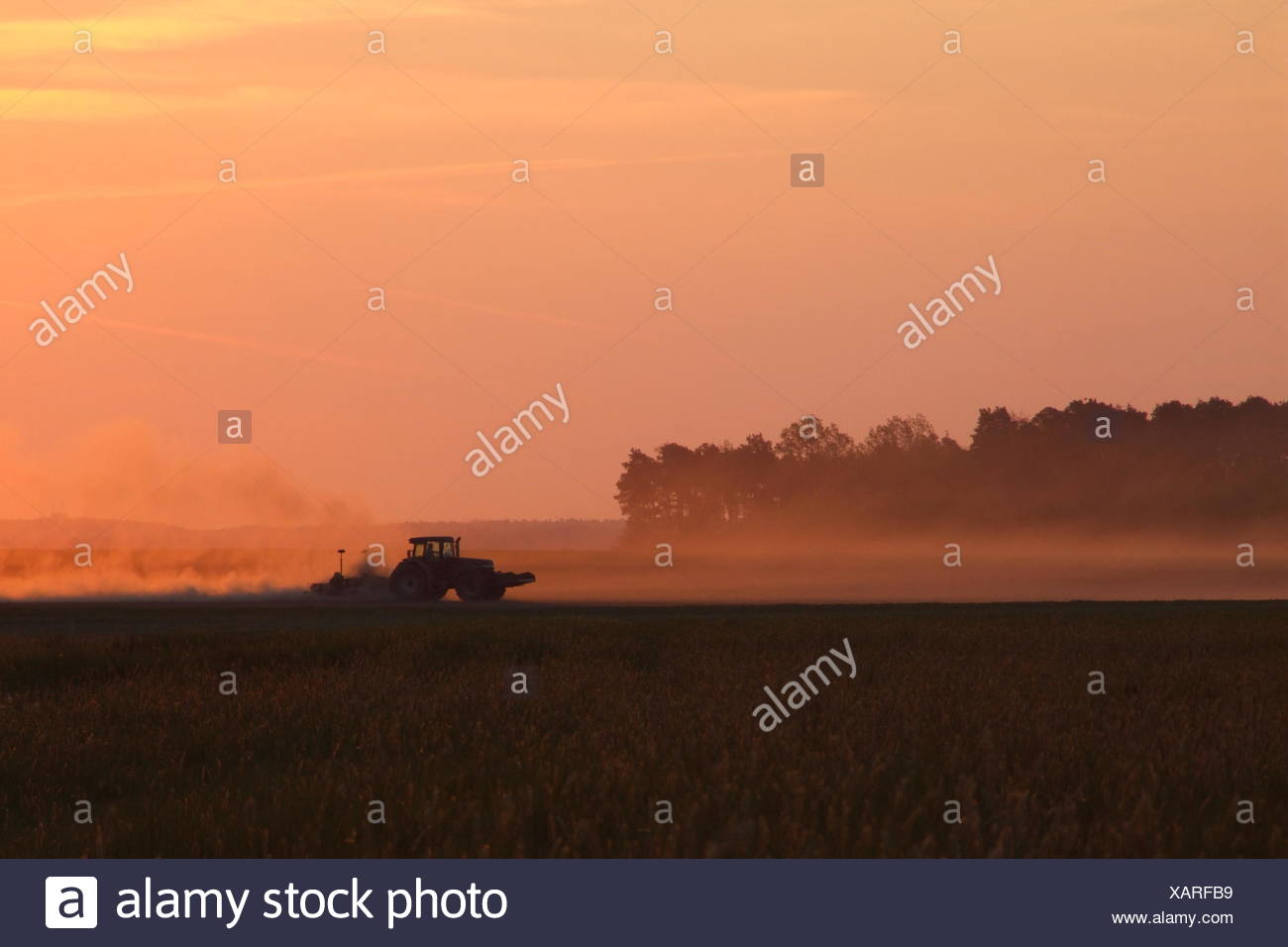 agrarian dust agriculture farming dryness drought erosion dry dried up barren Stock Photo