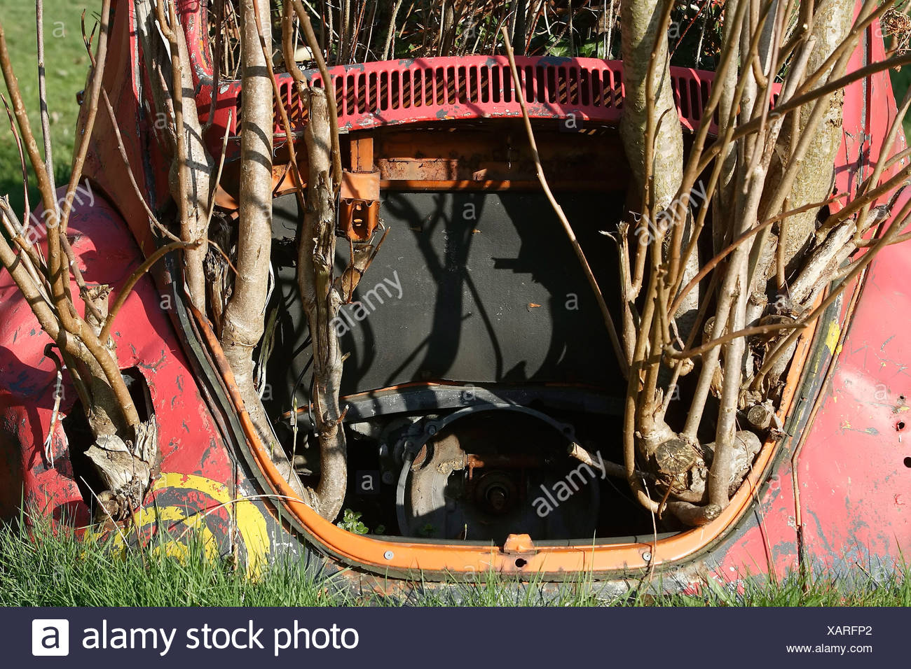 Old Volkswagen beetle overgrown by plants Stock Photo