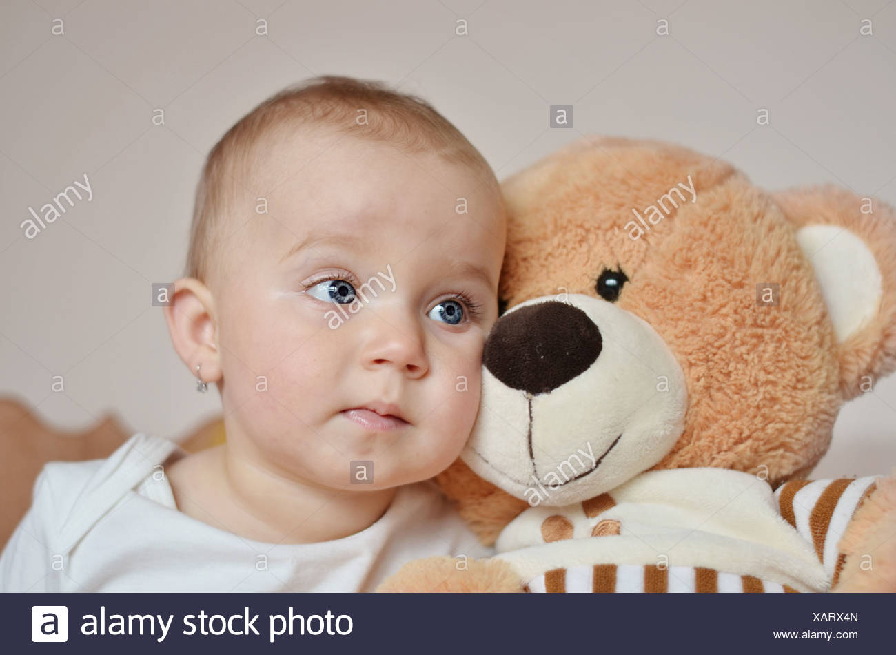 teddy bear with baby face
