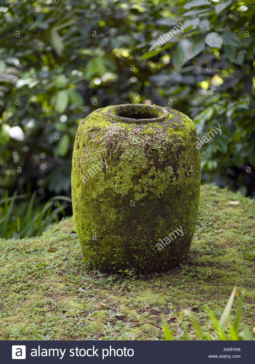 44+ Como Shambhala Estate Bali Indonesia Pictures