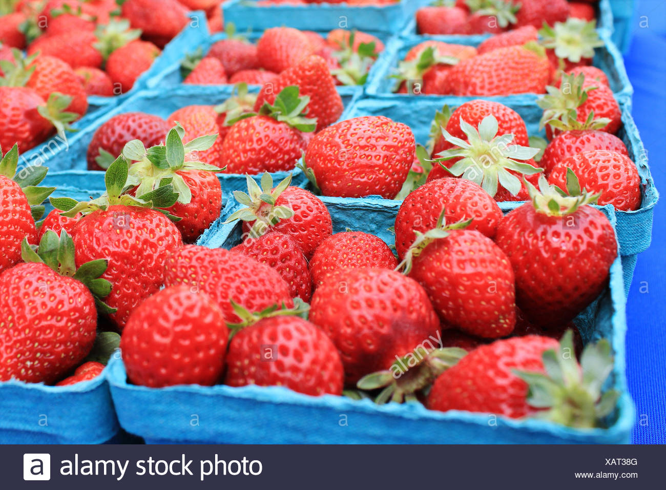 Trays Of Strawberries Stock Photos & Trays Of Strawberries Stock Images