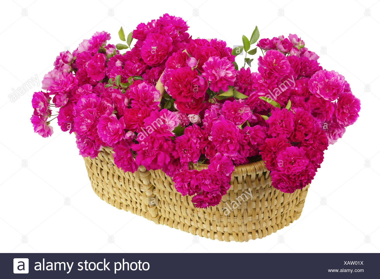 Huge Bouquet Of Pink Roses