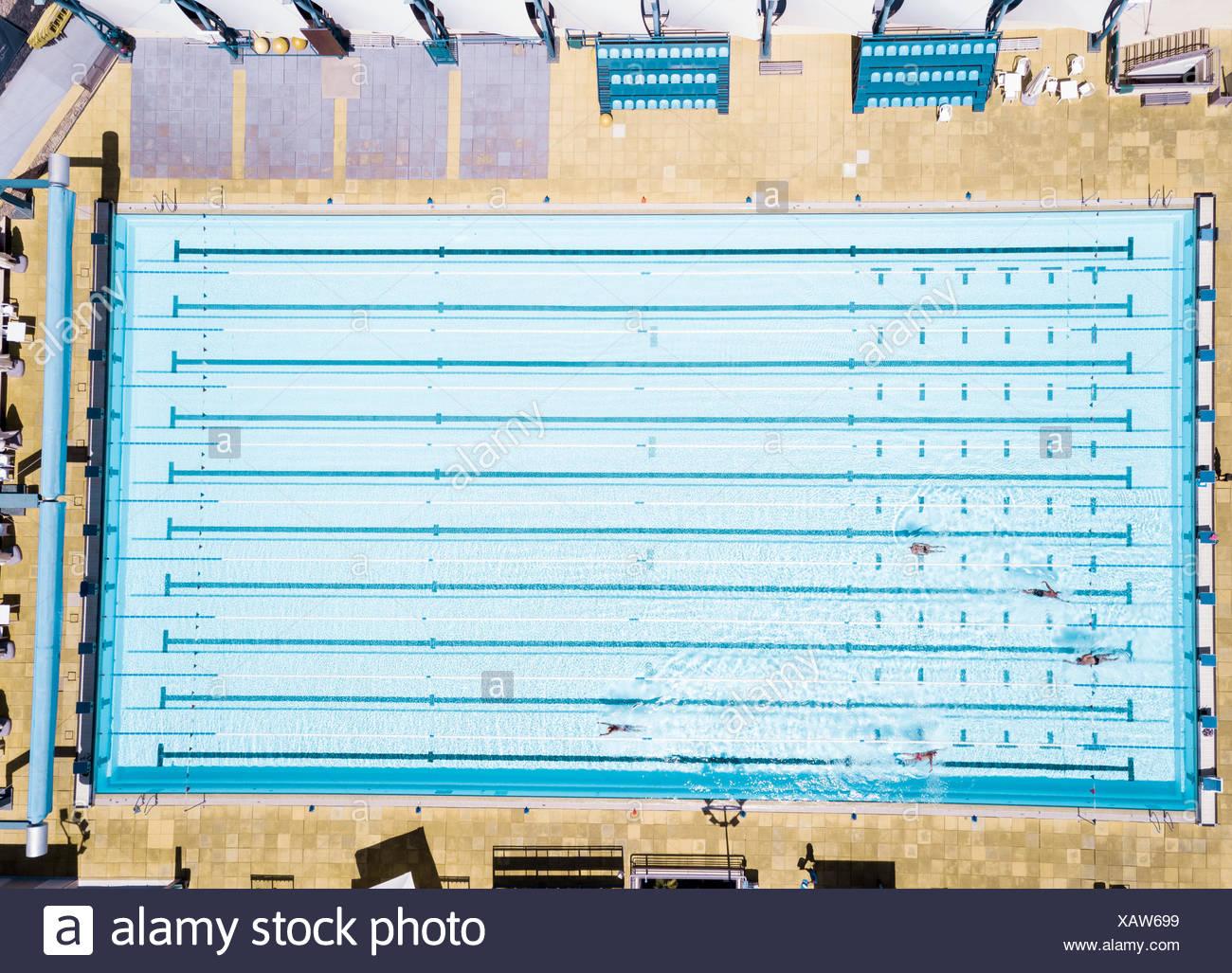 Aerial View Of Swimmers In Olympic Swimming Pool Tenerife Top Training Santa Cruz De Spain Aerial View Of Swimmers In Olympic Swimming Pool Tenerife Top Training Santa Cruz De Spain