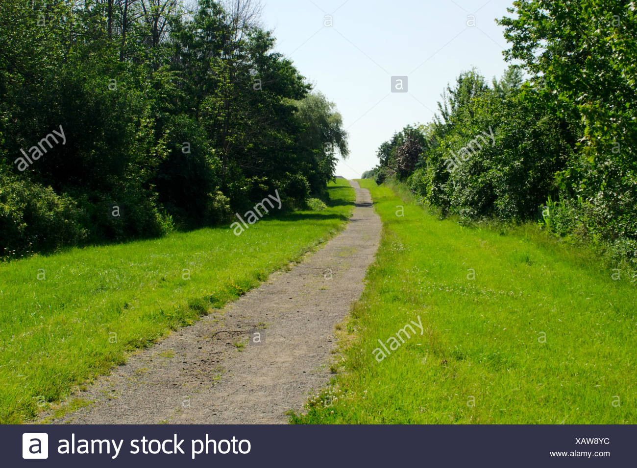 Dirt Path Through Grass And Trees Against Sky In Summer Stock Photo Alamy