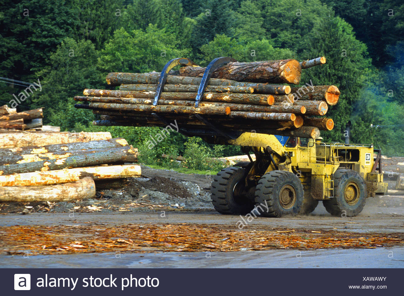 Logging In Washington State Stock Photos & Logging In Washington State ...