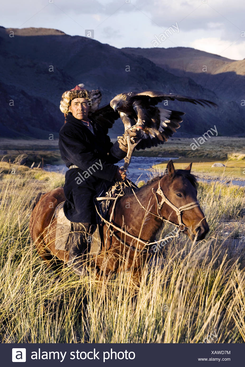 Kazakh Men Traditionally Hunt Foxes And Wolves Using Trained