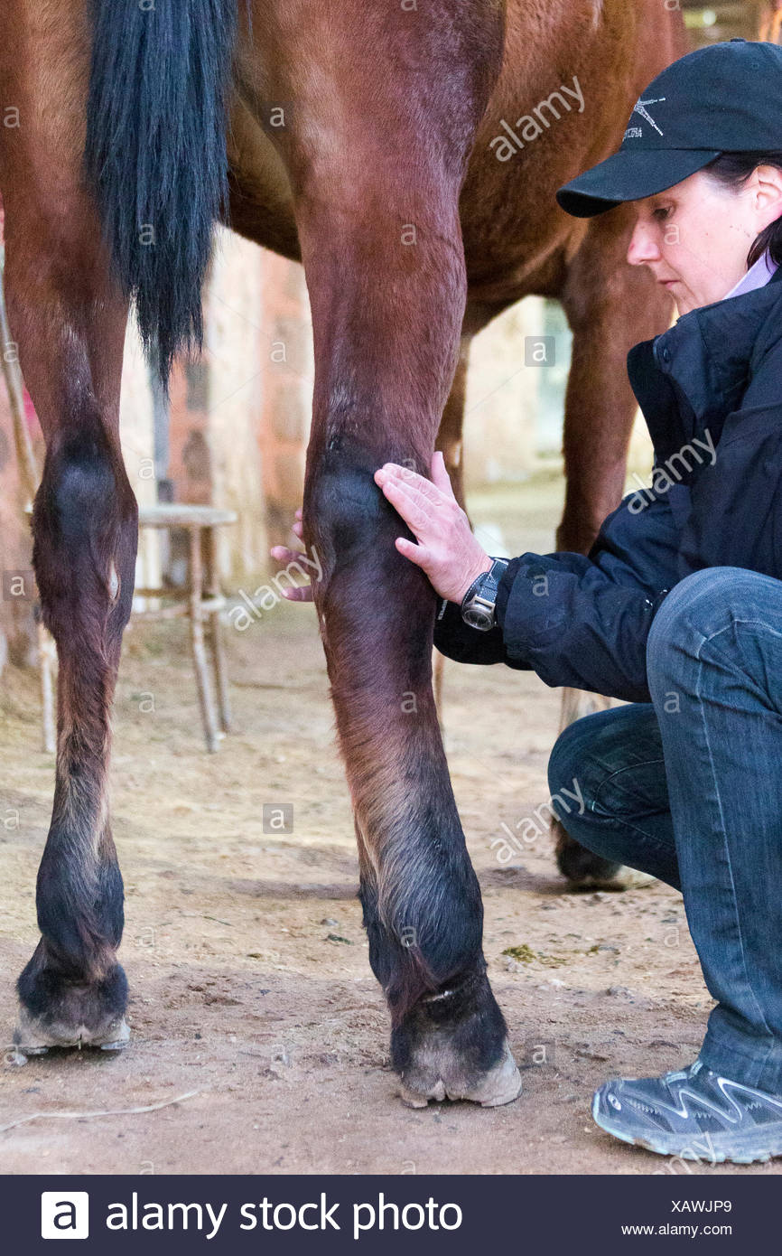 Phlegmon High Resolution Stock Photography and Images Alamy