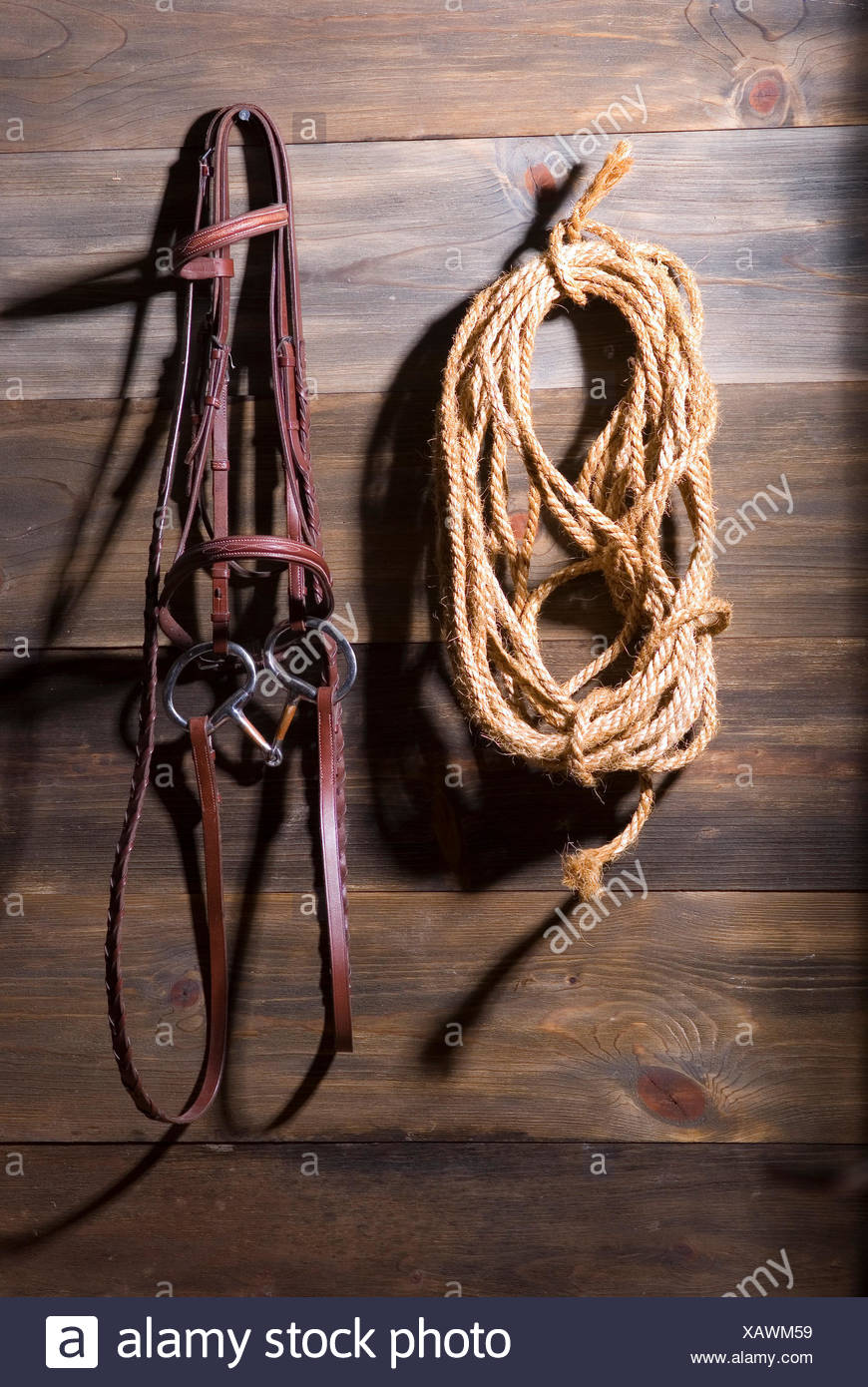 Barn To Wire Harness - BARN