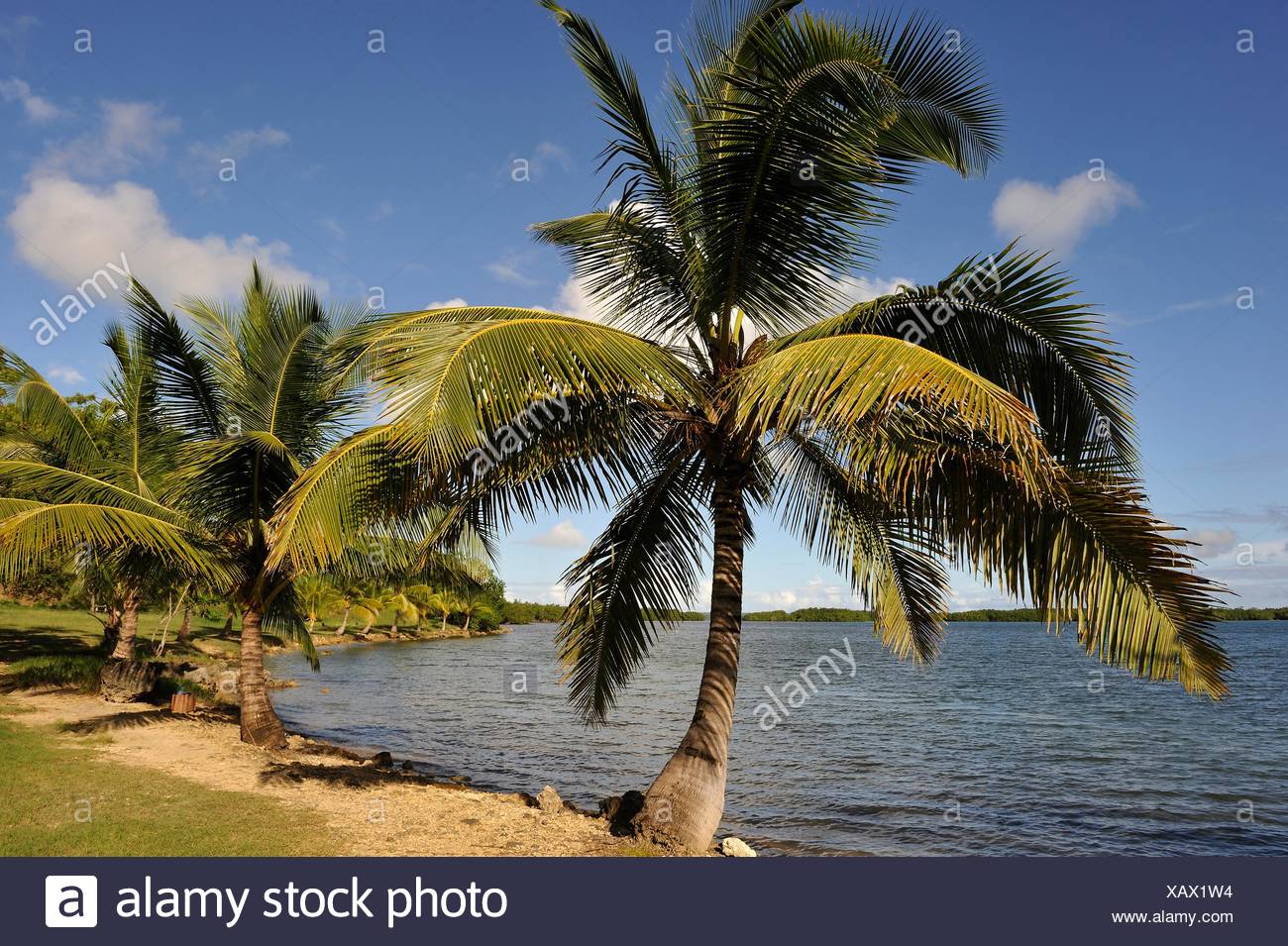Morne Stock Photos Morne Stock Images Alamy