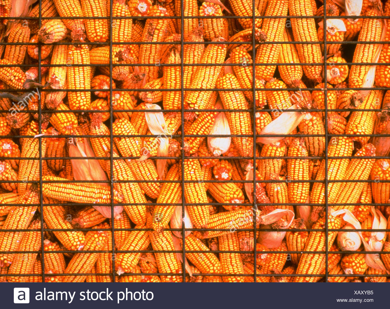 Corn Crib Storage Farm High Resolution Stock Photography and Images Alamy