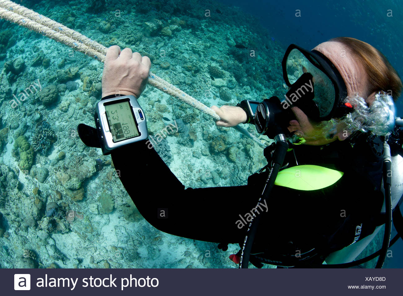 Dive Computer High Resolution Stock Photography and Images Alamy