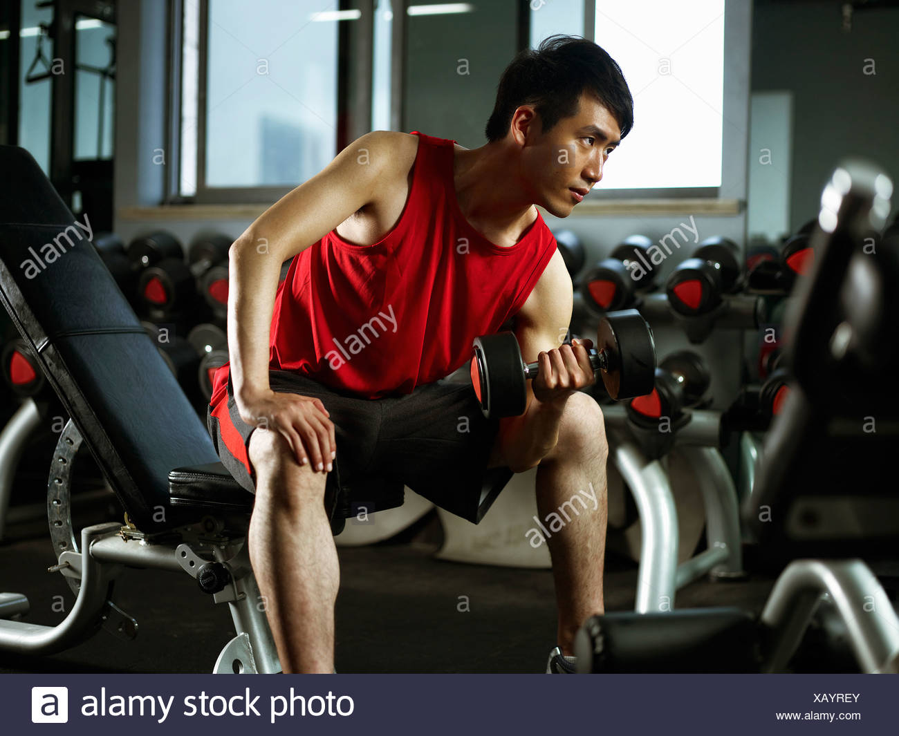 Man Sitting On Weight Bench Lifting Dumb Bells Stock Photo