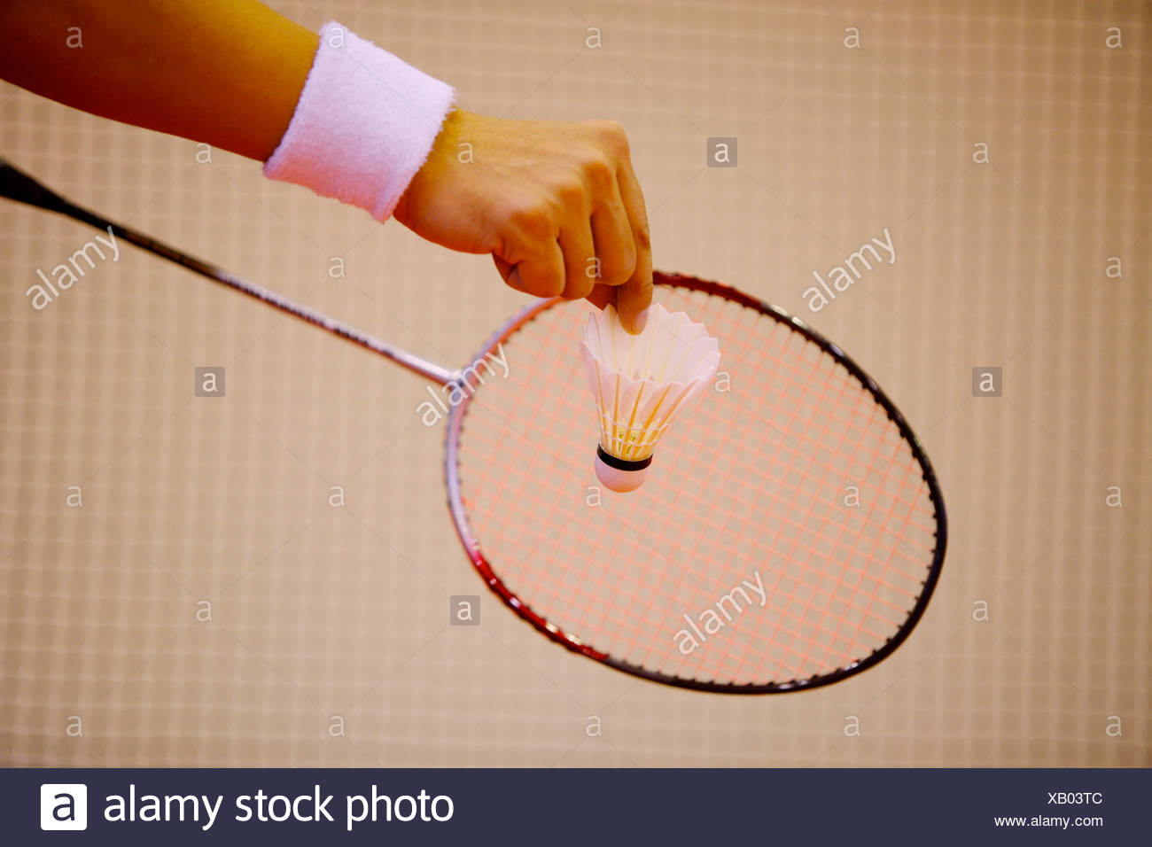Badminton Racket Shuttlecock Hitting High Resolution Stock Photography