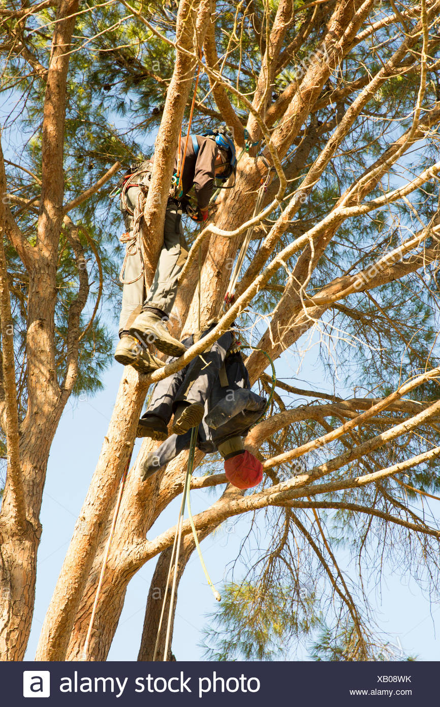 Cutting The Rope High Resolution Stock Photography and Images Alamy