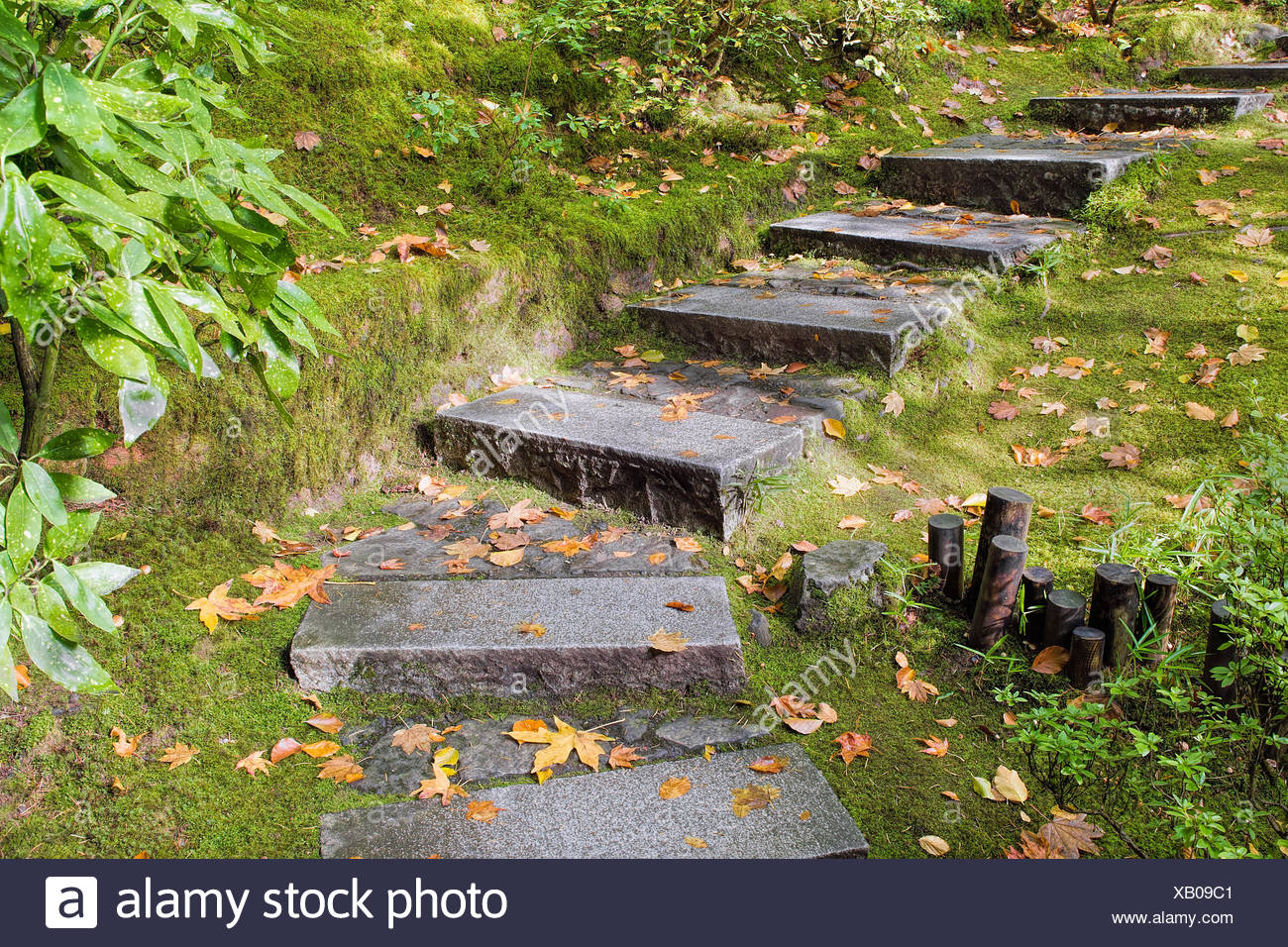 Asian Inspired Japanese Garden Granite Slabs Stone Steps With Moss And Fall Leaves Stock Photo Alamy Asian Inspired Japanese Garden Granite Slabs Stone Steps With Moss And Fall Leaves Stock Photo Alamy