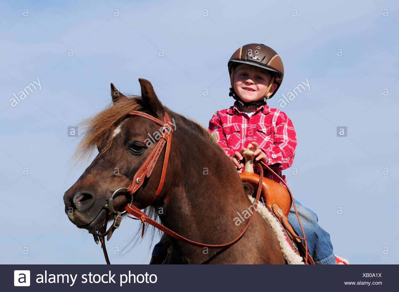 Download Boy Riding Welsh Pony Crash Helmet Saddle Stock Photo Alamy