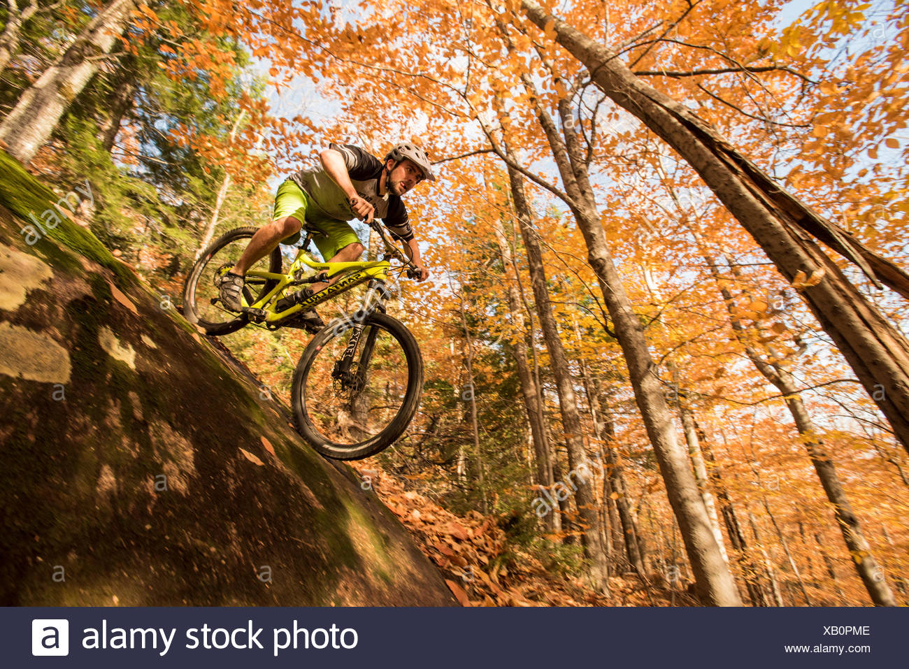 mountain biking white mountains