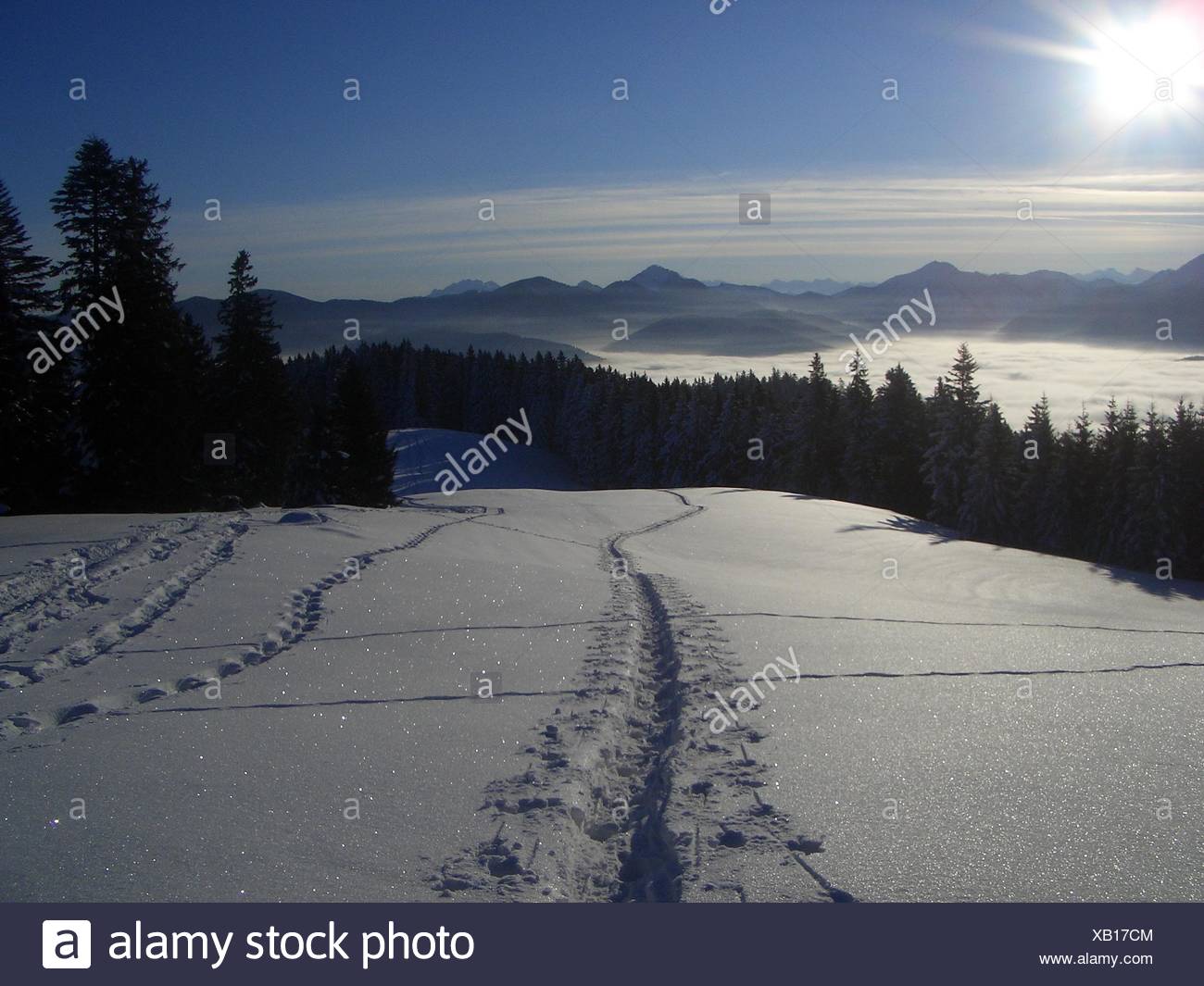 Counter Light Shield Snow Salt Water Sea Ocean Water Tegernsee